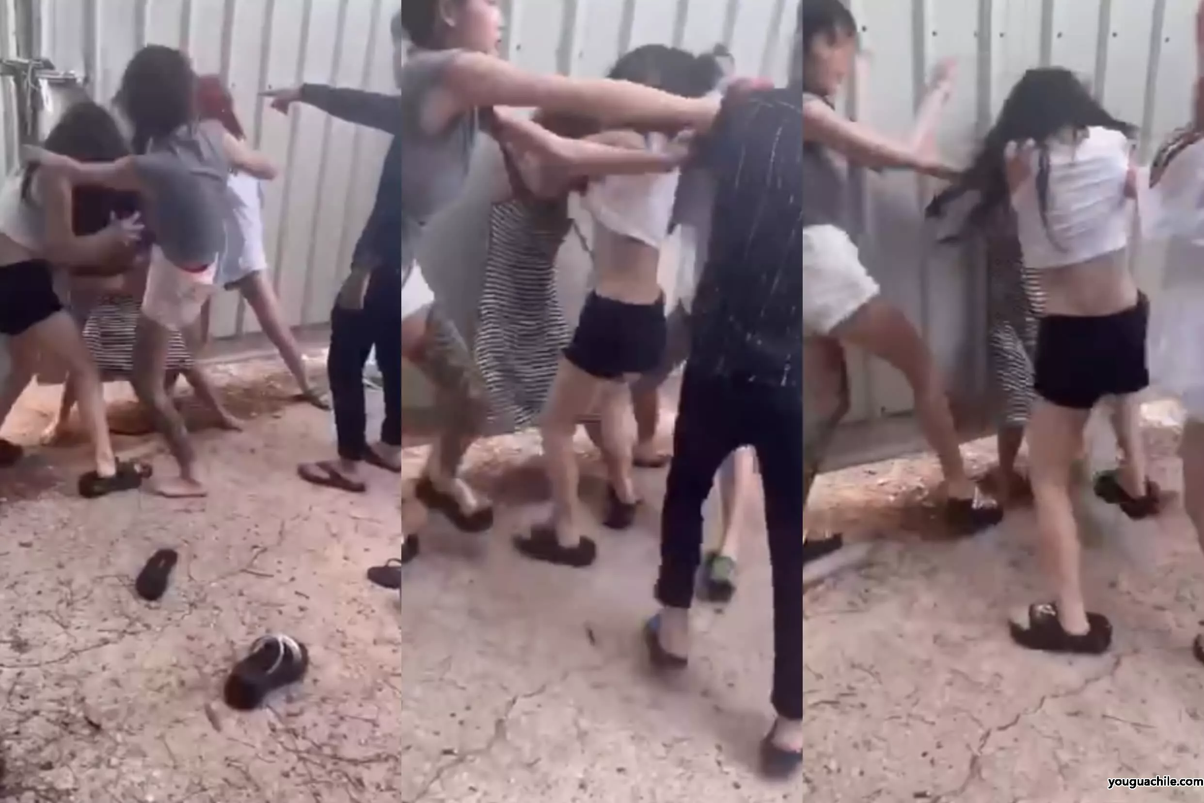 三个精神小妹群殴，结果被精神小伙反手三连KO！